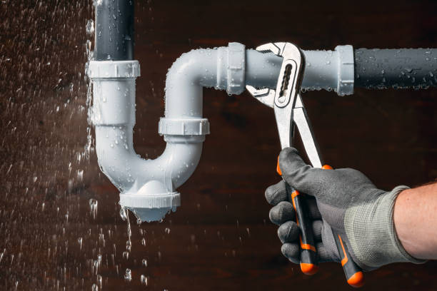 Professional Plumbing technician working in Cropsey, IL